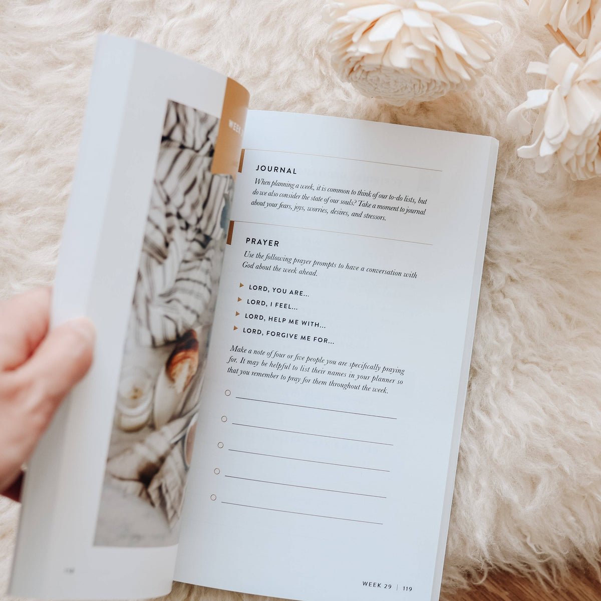 Fix Your Focus Study | A 52-Week Guide to Help You Put God First