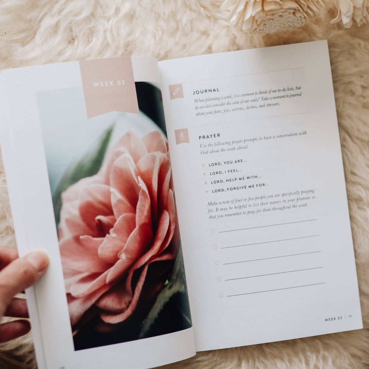 Fix Your Focus Study | A 52-Week Guide to Help You Put God First