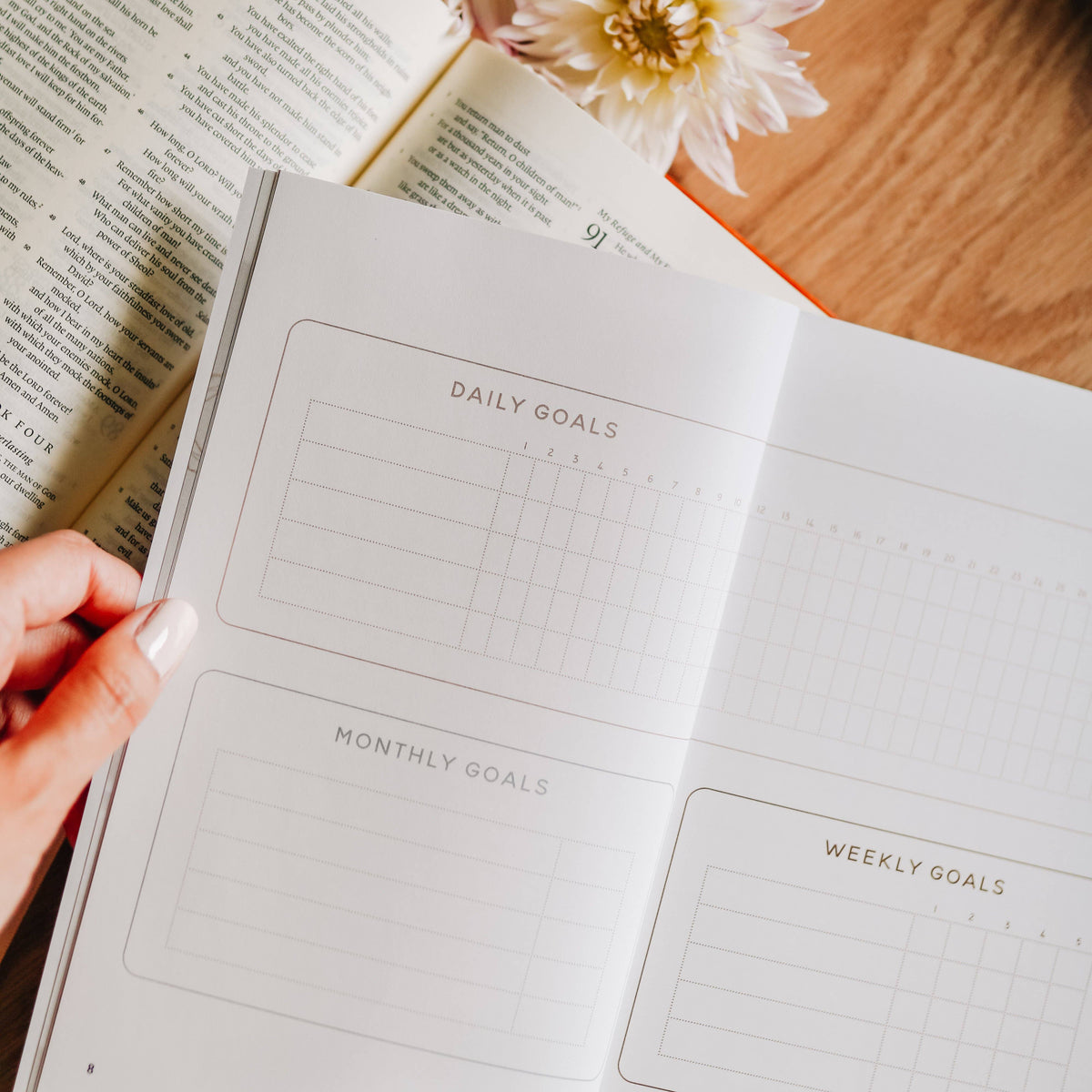 Redeeming Your Phone Time Bible Study Companion | Mindful Christian Guide to Intentional Screen Time & Digital Balance | Daily Grace Co.