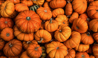 5.5 oz Wax Melts: Hey, Pumpkin!