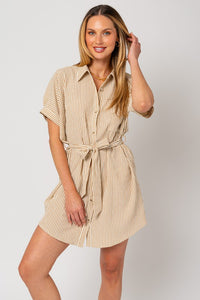 Tia Button Down Shirt Dress: Cream/Taupe Stripe