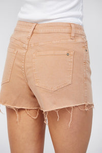 Mica Denim High Rise Vintage Wash Shorts: Baked Clay