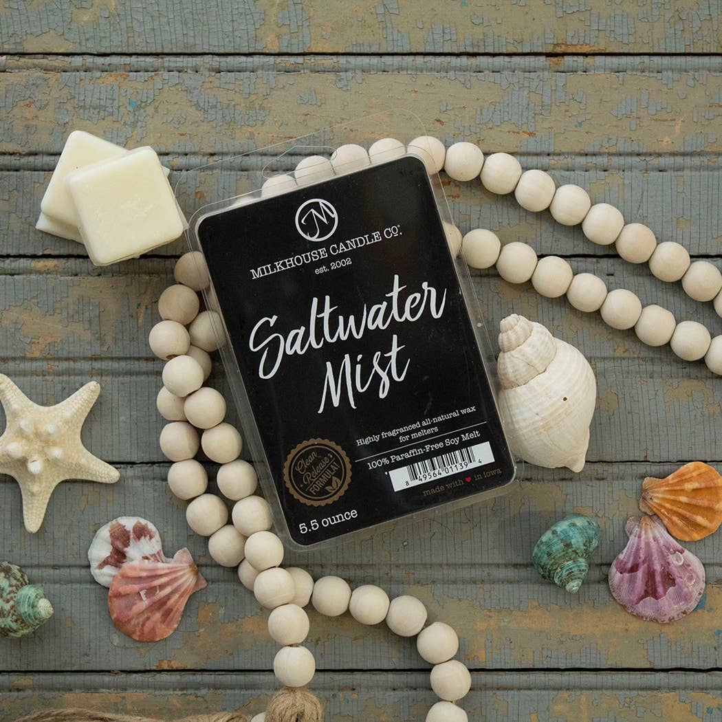 5.5 oz Wax Melts: Saltwater Mist
