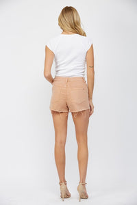 Mica Denim High Rise Vintage Wash Shorts: Baked Clay