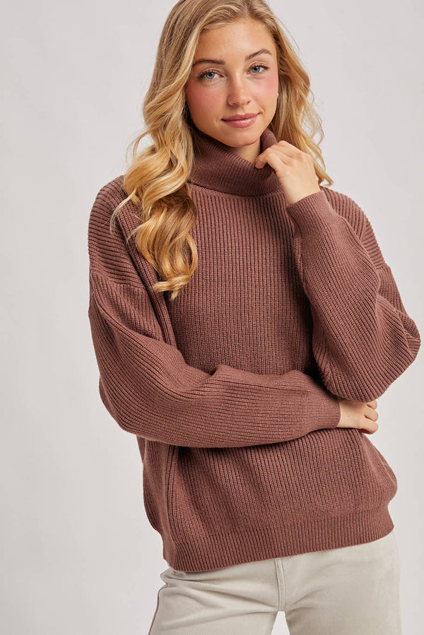 The Cocoa Club Ribbed Knit Turtleneck Sweater: Mocha