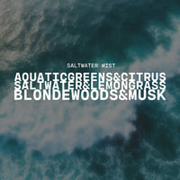 5.5 oz Wax Melts: Saltwater Mist