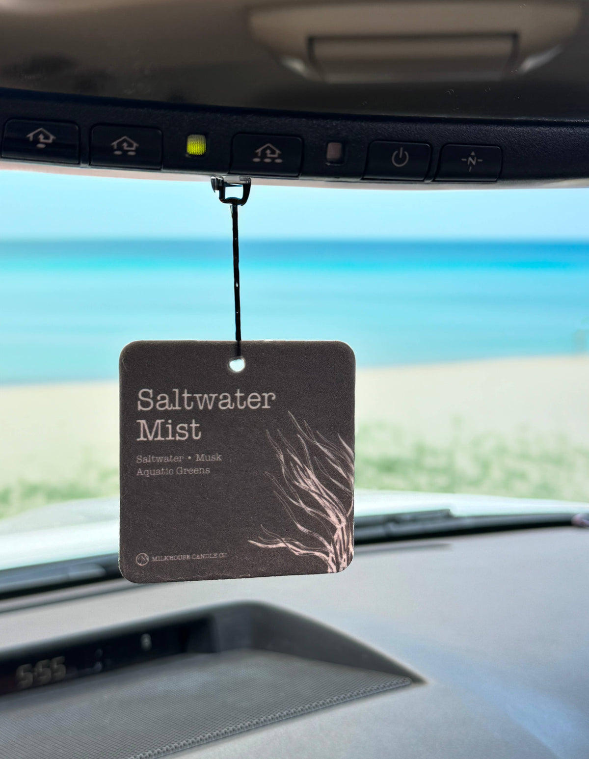 Car Freshener: Saltwater Mist