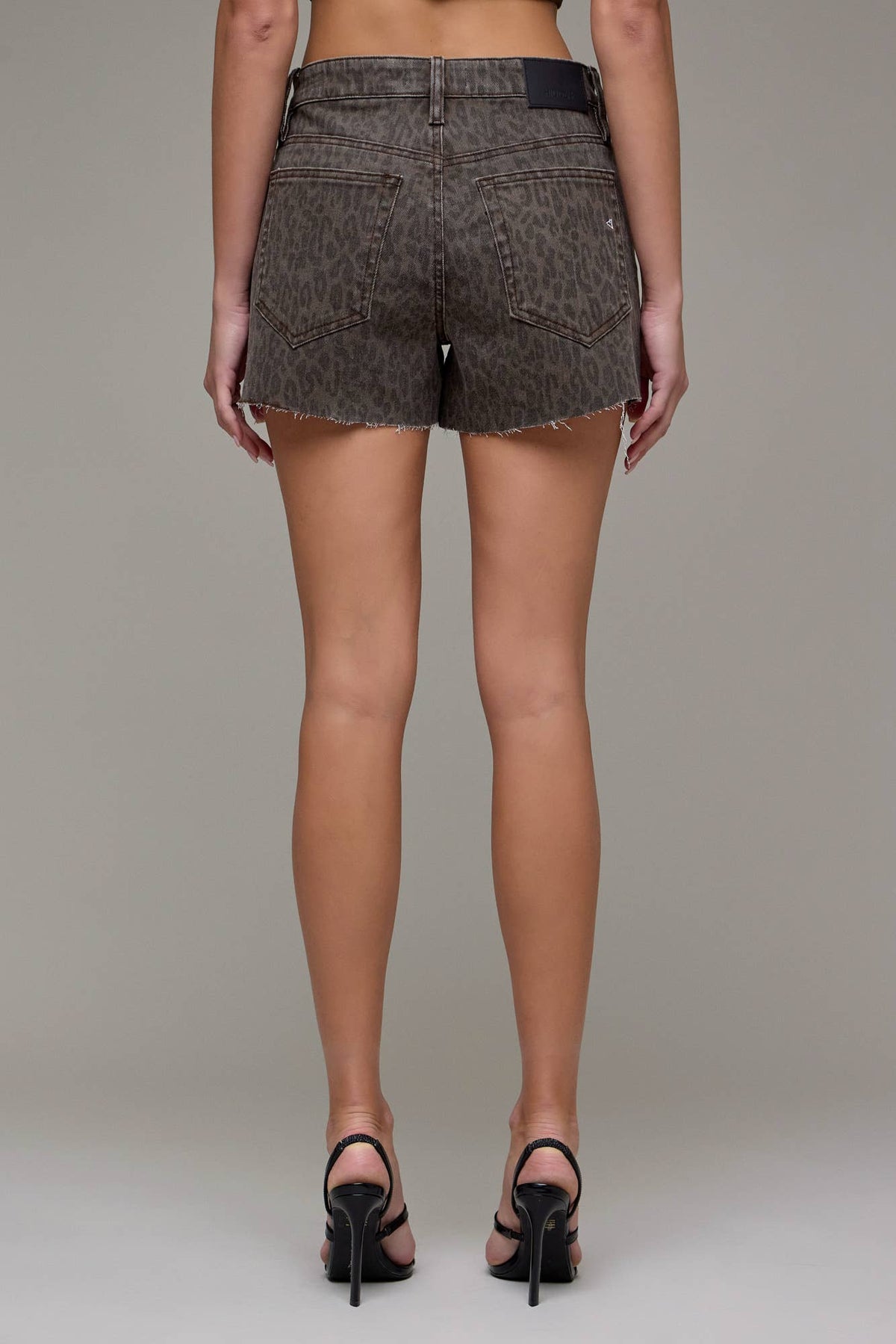 The Wild Side Cheetah High Rise 3" Inseam Shorts