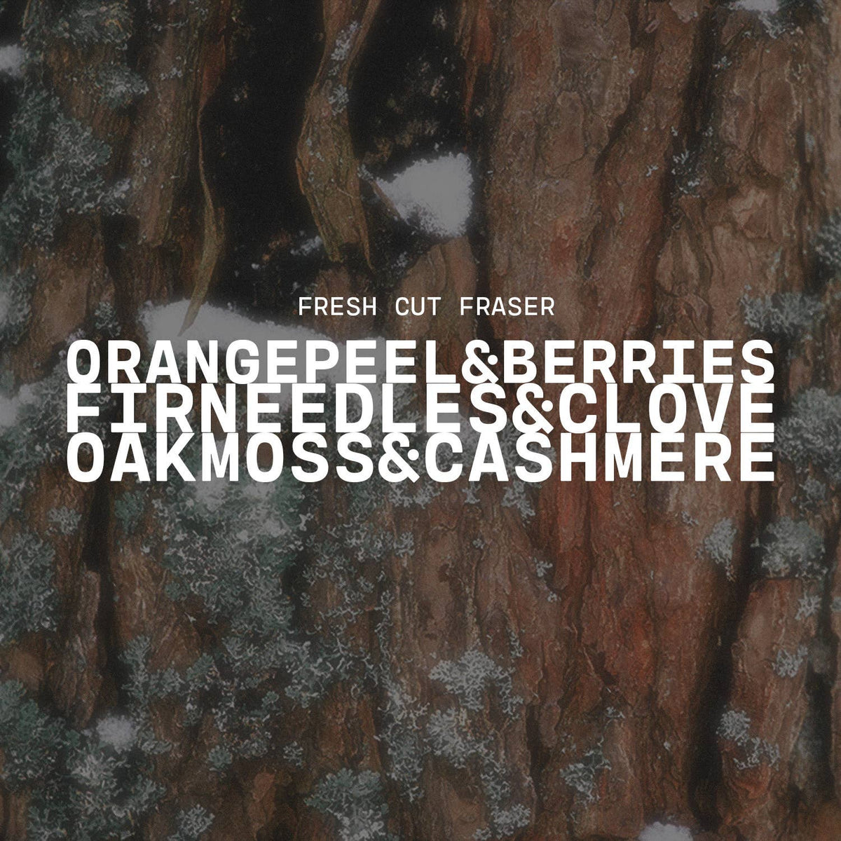 16 oz Butter Jar Candle: Fresh Cut Fraser