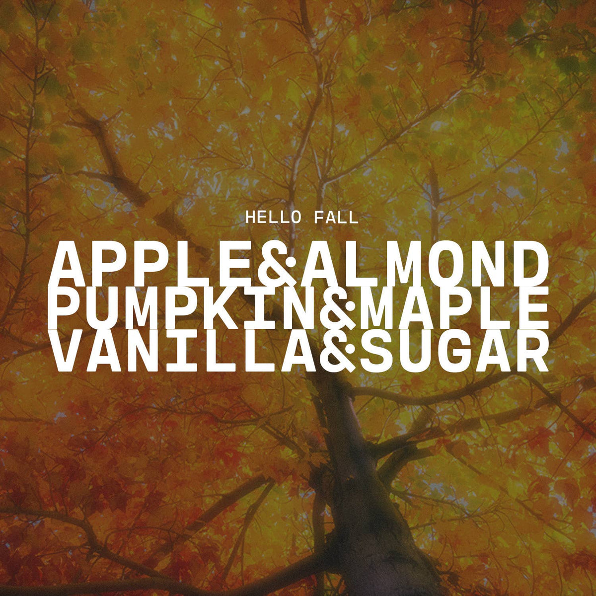 5.5 oz Wax Melts Fall: Hello Fall